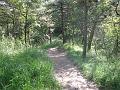 Passerelles 029